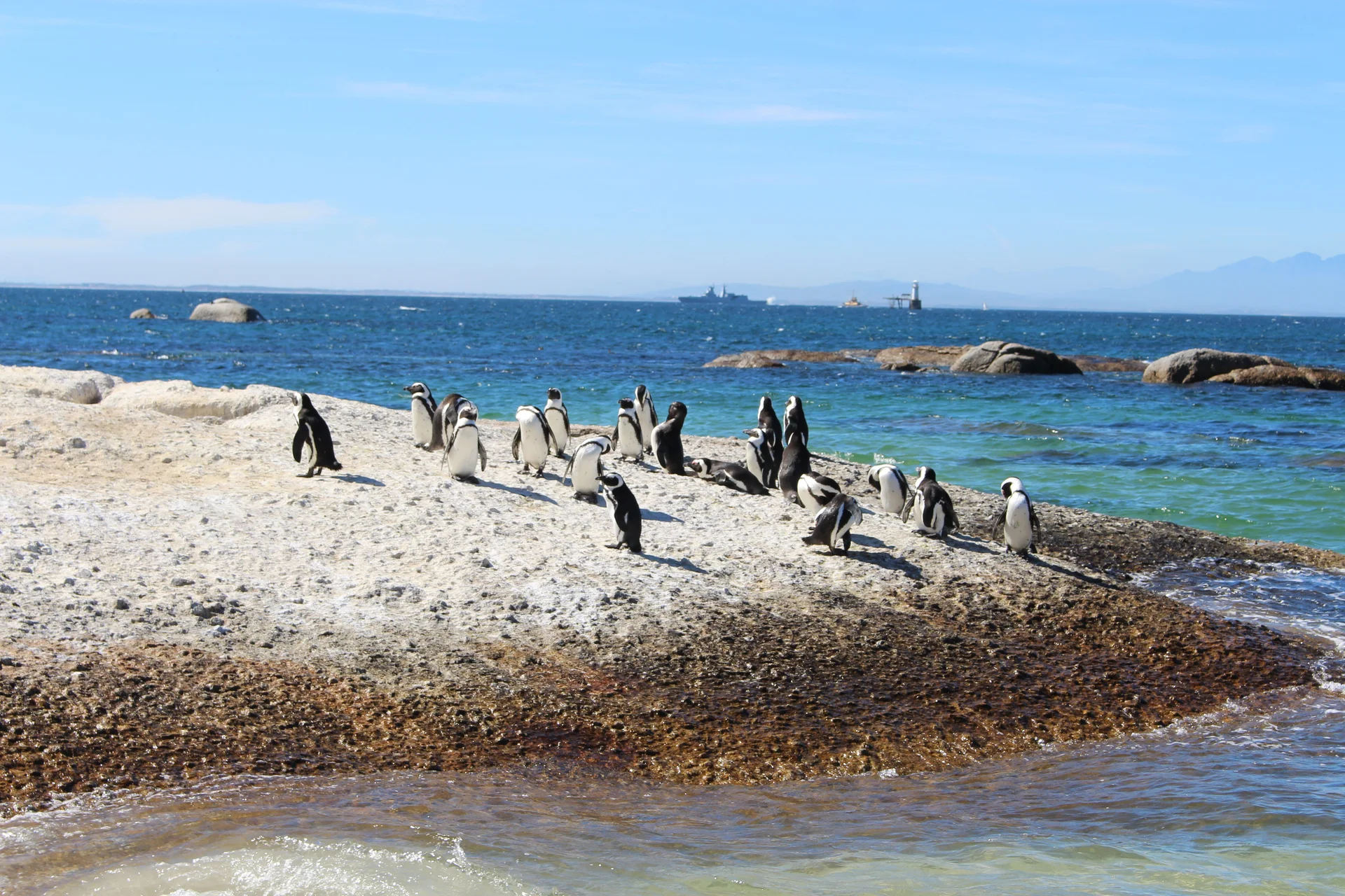Boulders Beach Pre-booked Entry Ticket
