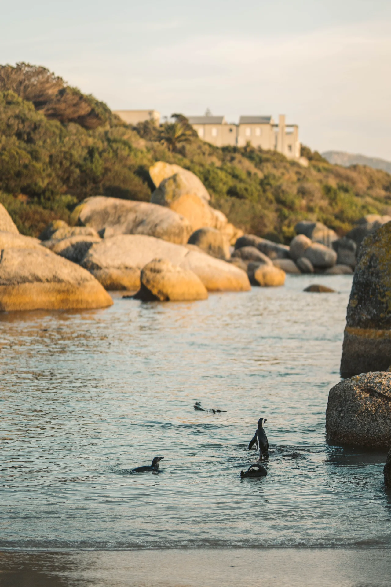 Paddling the False Bay Coastline